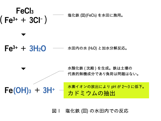 図１　塩化鉄(Ⅲ)の水田内での反応