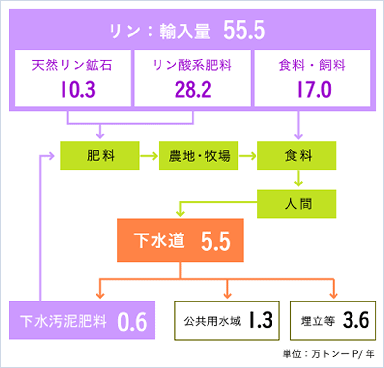 農業・食品に係わる我が国へのリン輸入量と排出量