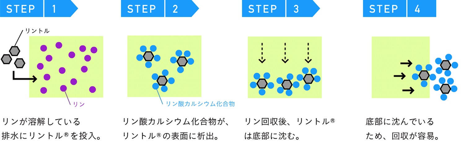 リン回収イメージ（STEP1〜4）