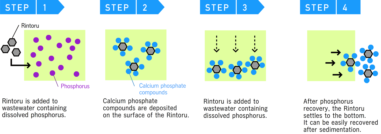 Phosphorus recovery using Rintoru® (Steps 1–4)