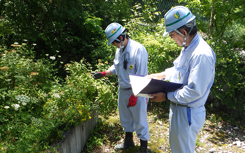 Successor training for personnel in charge of rare plant preservation and cultivation
