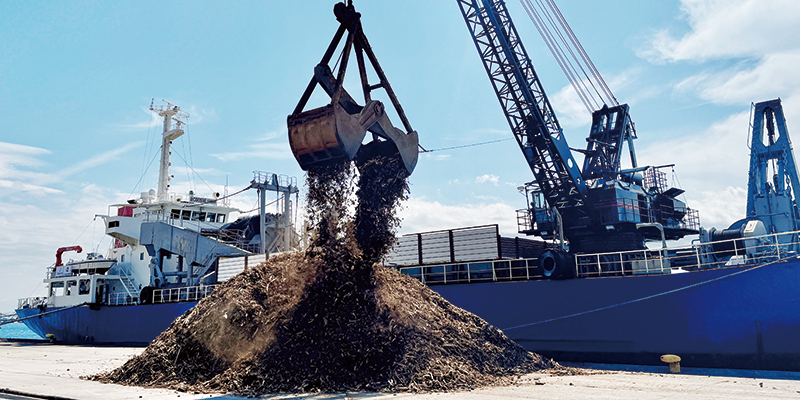 Recycling of Disaster waste into cement resources (2024 Noto Peninsula Earthquake)