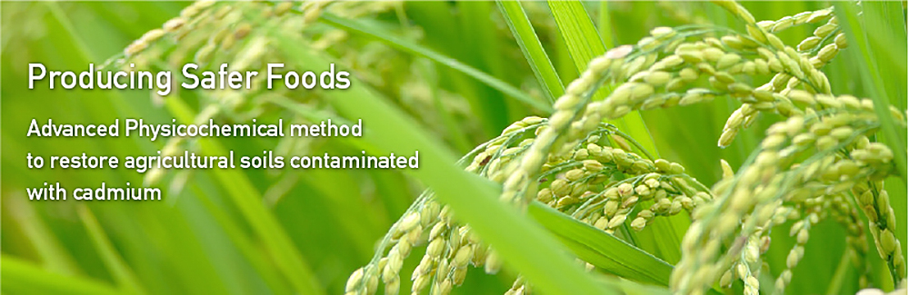 Producing Safer Foods
Advanced Physicochemical method to restore agricultural soils contaminated with cadmium