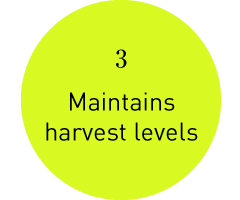 3. Maintains harvest levels