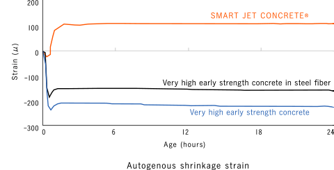 Autogenous shrinkage strain