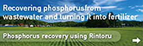 Phosphorus recovery using Rintoru