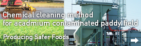 Chemical cleaning method for a cadmium contaminated paddy field