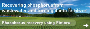 Phosphorus recovery using Rintoru