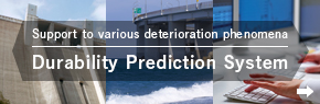 Durability Prediction System