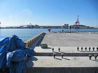 Salt damage countermeasure for underside of pier (thk: 25mm/Toyama)