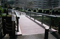 Ductal deck using pigmentation (Kagoshima)