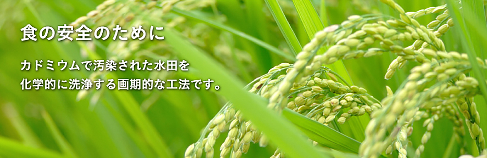 食の安全のために　カドミウムで汚染された水田を化学的に洗浄する画期的な工法です。