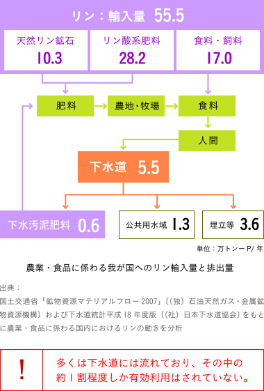 農業・食品に係わる我が国へのリン輸入量と排出量