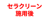 セラクリーン施用後